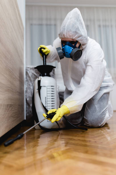 Real Estate Pest Inspections in Gridley, CA